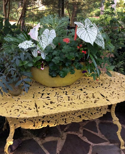 Filigree leaf design table with potted plants